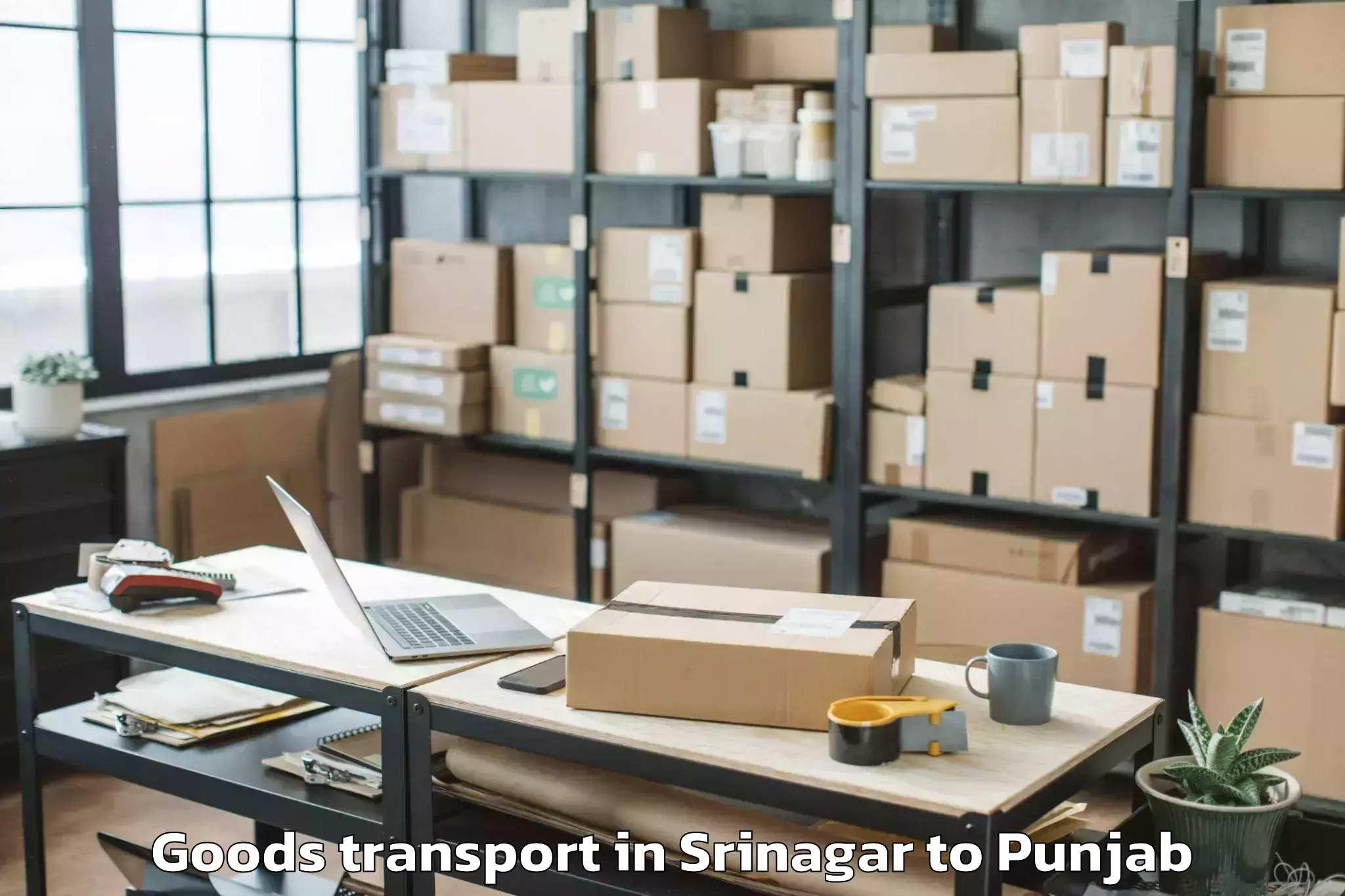 Trusted Srinagar to Ropar Goods Transport